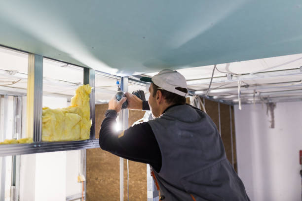 Types of Insulation We Offer in Mount Rainier, MD