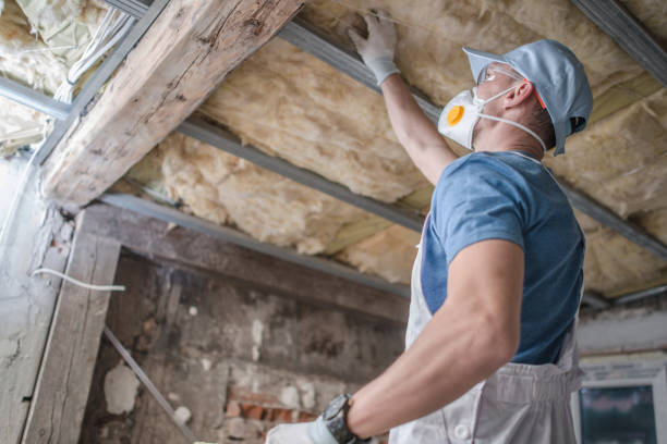 Types of Insulation We Offer in Mount Rainier, MD